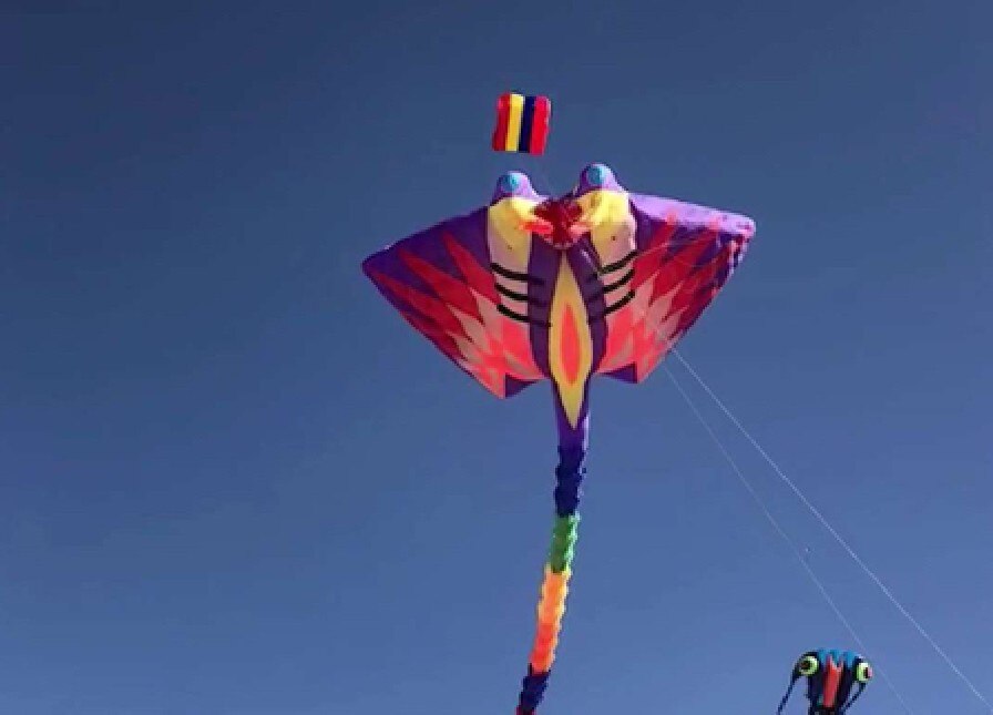Wind sock 3d ripstop soft kite koinobori kite flying ..